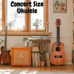 pennycreek 24" Ukulele With Bag Tuner Capo & String Set Ukulele For Beginners Adults Kids Concert Ukulele image 4