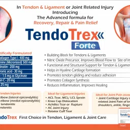 trexgen TENDOTREX FORTE Tendon Joint LigamentCollagen Peptides I Chondroitin HA Arginine image 3