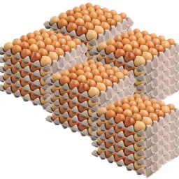 Egg holder Egg Holder-image-45