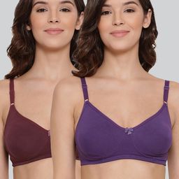 LYRA Pack Of 2 Combed Cotton Seamless Moulded Encircled Bra-image-48