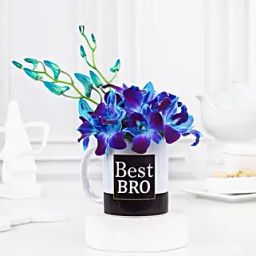 Orchid Cheers For Best Bro-10