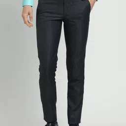 Turtle Men Textured Tailored Skinny Fit Formal Trousers-image-84