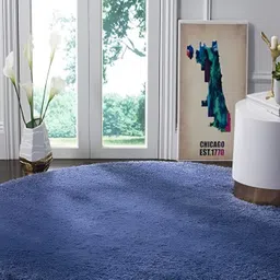 Shopgallery Blue Anti-Skid Shaggy Carpet-picture-15