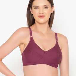 GROVERSONS Paris Beauty Purple Seamless Cotton T-Shirt Bra-41