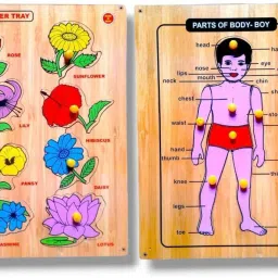 combo of wooden flowers with body parts of boy picture for kids-image-47