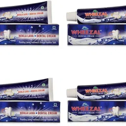 DENTAL (PACK OF 4) Toothpaste-14