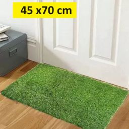 Green Polypropylene Carpet-33