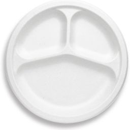 Disposable Bagasse with 3 Compartments 9 inch Dinner Plate-image-57