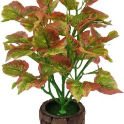 Natural Money Plant with Stylish Coconut Pot Artificial Plant with Pot-11
