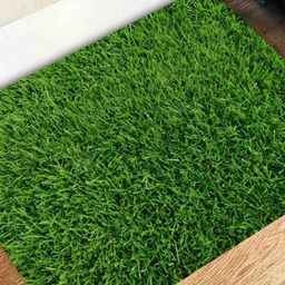 REVEXO Green Artificial Grass Anti-Skid Door Mat-14