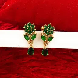 Anujeet Fashion Hub Earrings-picture-24