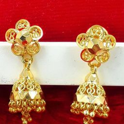 Anujeet Fashion Hub Earrings-image-40