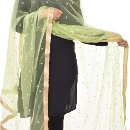 Net Embellished Light Green, Gold Women Dupatta-image-31