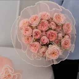 satyam kraft 2 Pcs Floral Mesh Roll with Pearl Edge for Gifting,Flower Bouquet,Hamper Packing PLAIN Net Gift Wrapper image 3