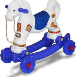 RIDER HORSE-38