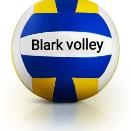 CLASSIC VOLLEYBALL 125 WITH INFLATING AIR PIN Volleyball - Size: 4-21