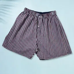 Ajile by Pantaloons Checked Pure Cotton Boxers 8905685962082-image-96