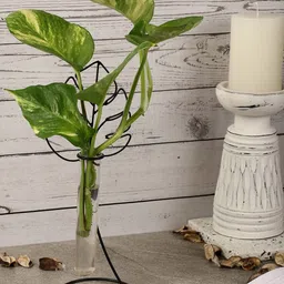 The Decor Mart Solid Metal Planters-image-76
