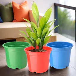 Kuber Industries Pack Of 3 Red & Green Planters-45