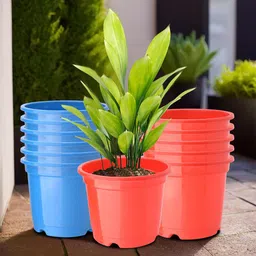 Kuber Industries 12 Pcs Red & Blue Lightweight Planters-16