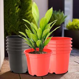 Kuber Industries 10Pc Red & Black Lightweight Planters-52
