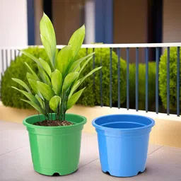 Kuber Industries 2Pc  Blue & Green Lightweight Planters-39