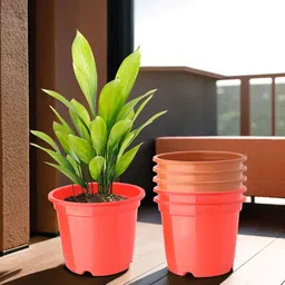 Kuber Industries Red & Orange-Coloured Set Of 6 Plastic Planters-19