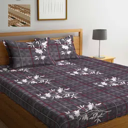 Arrabi Pack Of 2 Printed 300 TC King Bedsheet with 2 Pillow Covers-3