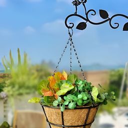 Garden King Set Of 6 Black 10 Inch Grid Wire Coir Hanging Planters-27