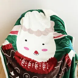 JC HOME Unisex Multi Blankets Quilts and Dohars-image-4