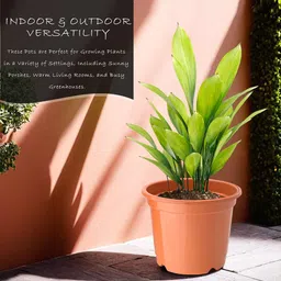 Kuber Industries 3-Pcs Red & Green Durable Planters image 3