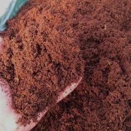 flipkart smartbuy powder Cocopeat -87 Potting Mixture-picture-48