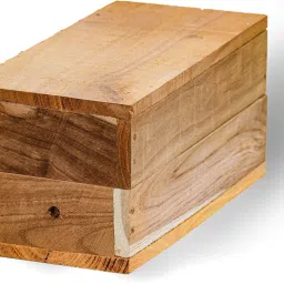 Bug Box-image-6