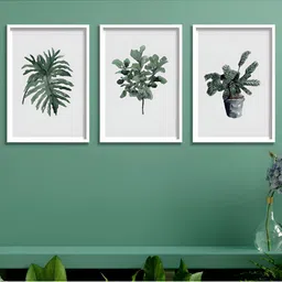 Aura White & Green 3 Piece Wood Floral and Botanical Wall Paintings-image-50