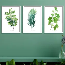 Aura White & Green 3 Piece Wood Floral and Botanical Wall Paintings-image-51