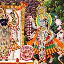 PnF Red & Green Religious Shrinathji Yamunaji Mahaprabhuji Wall Stickers-image-46