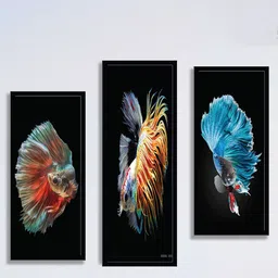 SAF Black & Red 3 Pieces Unique Fish Framed Painting Wall Art-image-52