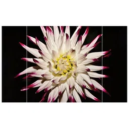 Inephos Pink & White 5 Piece Paper Other Wall Art-image-94