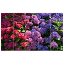 Inephos Pink And Purpal Floral and Botanical 5 Piece Printed Wood Wall Art-image-76