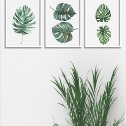 SAF White & Green 3 Pieces Tropical Leaves Painting Wall Art-image-85