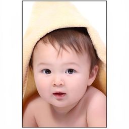PnF Yellow & Beige Photographs Wall Art-25