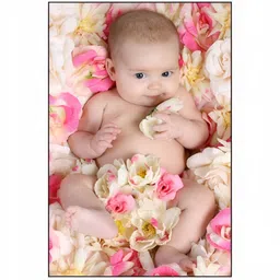 PnF Beige & Pink Paper Wall Photographs-image-62