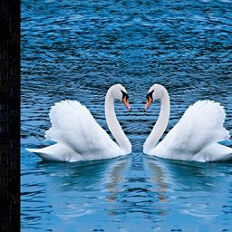 PnF Black & Blue Pair Of Swan Wooden Painting Wall Art-image-70