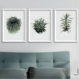 Aura White & Green 3 Piece Wood Floral and Botanical Wall Paintings-image-49