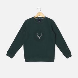 Allen Solly Junior Boys Sweatshirt-picture-31