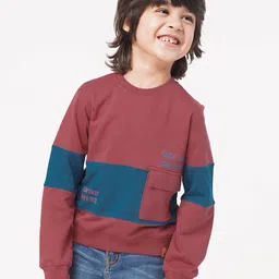 Ed-a-Mamma Boys Colourblocked Sweatshirt-15