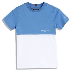 Tommy Hilfiger Boys Colourblocked Round Neck Cotton T-shirt-image-33