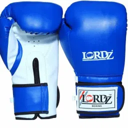 Boxing Glove PU Synthetic Leather with sandwich padding Boxing Gloves-image-67