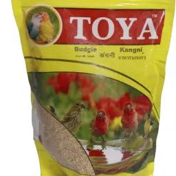 Budgie Bird Food 0.3 kg Dry New Born, Young, Adult Bird Food-image-58