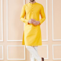 See Designs Mandarin Collar Long Sleeves Pure Cotton Straight Kurta-picture-44